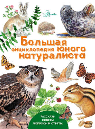 Обложка книги «Большая энциклопедия юного натуралиста»