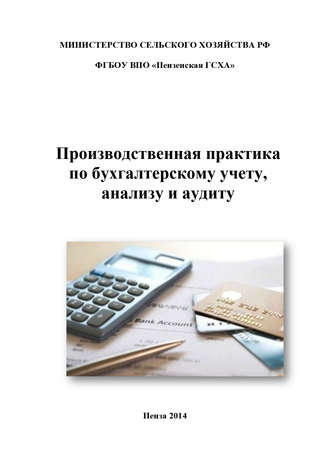 Обложка книги «Производственная практика по бухгалтерскому учету, анализу и аудиту»
