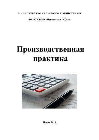 Обложка книги «Производственная практика по бухгалтерскому учету»