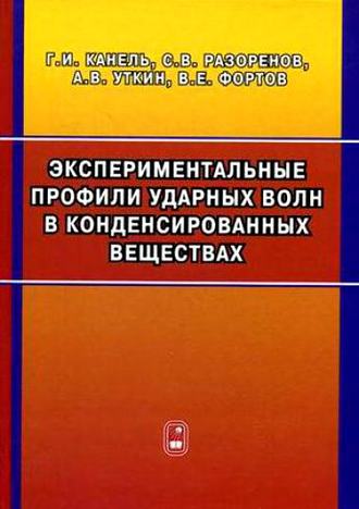 Владимир Фортов. Экспериментальные профили ударных волн в конденсированных веществах