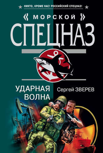 Обложка книги «Ударная волна»