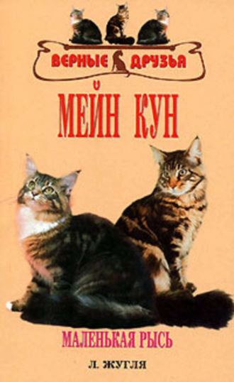 Обложка книги «Мейн кун»