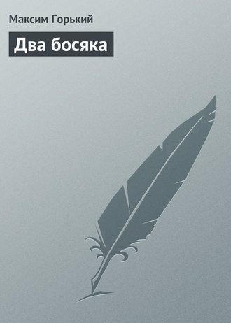 Обложка книги «Два босяка»