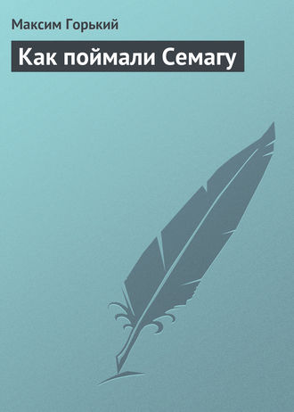 Обложка книги «Как поймали Семагу»