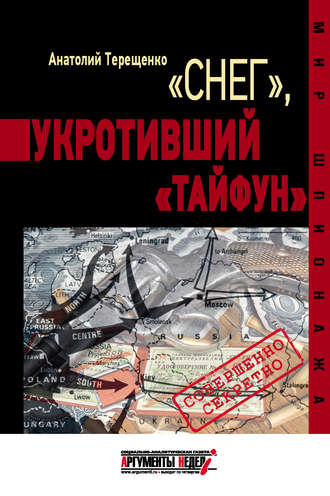Обложка книги ««Снег», укротивший «Тайфун»»