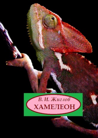 Обложка книги «Хамелеон. Рассказы»