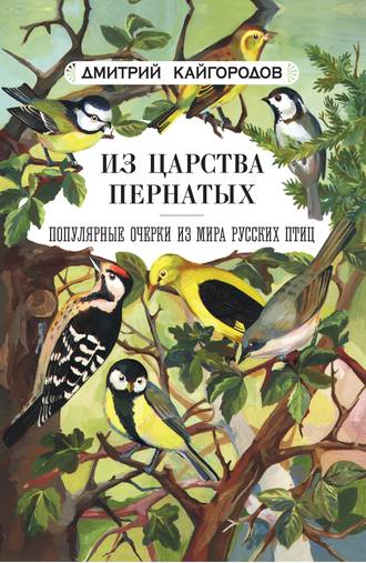 Обложка книги «Из царства пернатых. Популярные очерки из мира русских птиц»