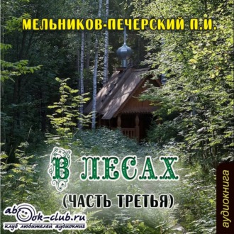 Обложка книги «В лесах (часть третья)»