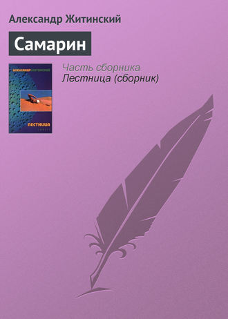 Обложка книги «Самарин»
