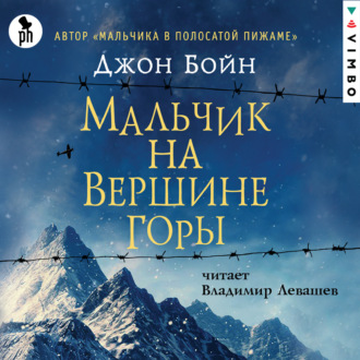 Обложка книги «Мальчик на вершине горы»