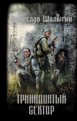 Обложка книги «Тринадцатый сектор»