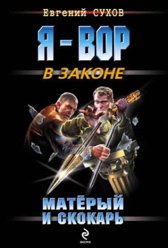 Обложка книги «Матёрый и скокарь»