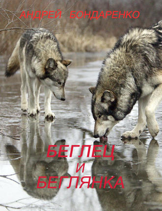 Обложка книги «Беглец и Беглянка»