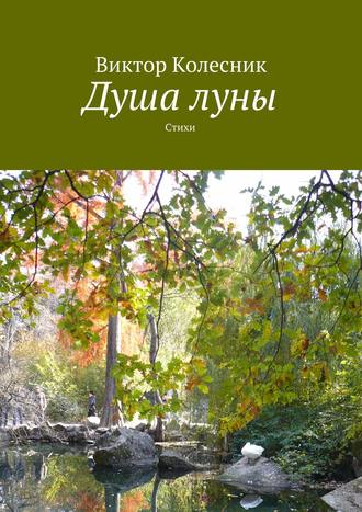 Виктор Колесник. Душа луны