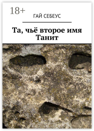 Обложка книги «Та, чьё второе имя Танит»