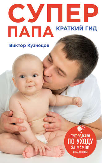 Обложка книги «Супер Папа: краткий гид»