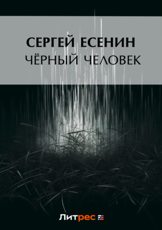 Обложка книги «Черный человек»