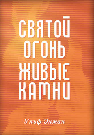 Обложка книги «Святой огонь, живые камни»