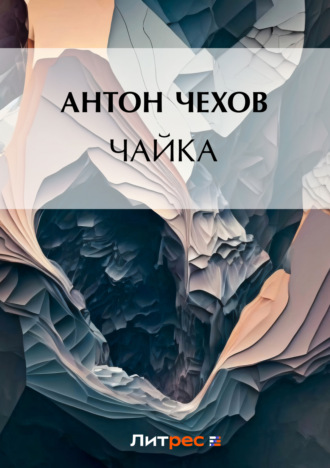 Обложка книги «Чайка»