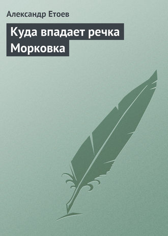 Обложка книги «Куда впадает речка Морковка»