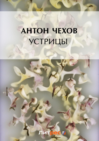 Обложка книги «Устрицы»