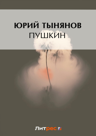 Обложка книги «Пушкин»