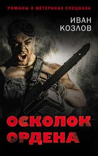 Обложка книги «Осколок ордена»
