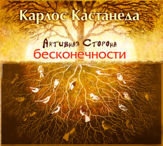 Обложка книги «Активная сторона бесконечности»