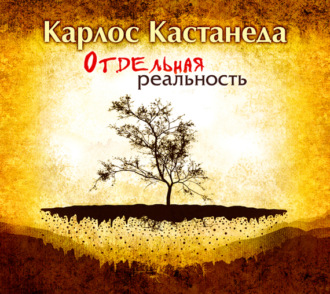 Обложка книги «Отдельная реальность»