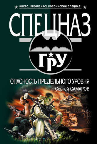 Обложка книги «Опасность предельного уровня»