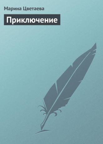 Обложка книги «Приключение»