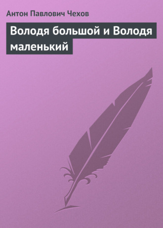 Обложка книги «Володя большой и Володя маленький»
