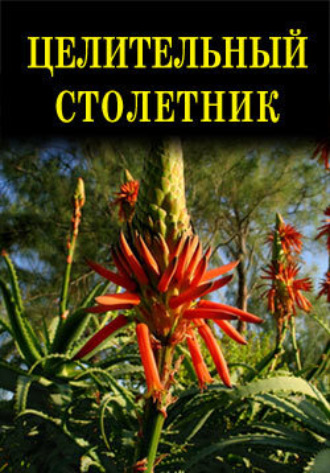 Обложка книги «Целительный столетник»