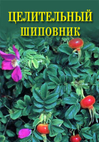 Обложка книги «Целительный шиповник»