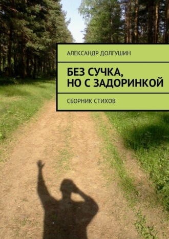 Обложка книги «Без сучка, но с задоринкой»
