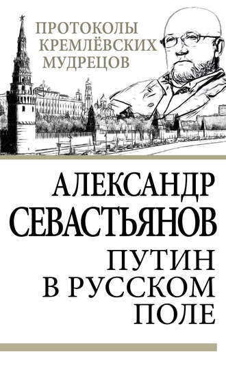 Обложка книги «Путин в русском поле»