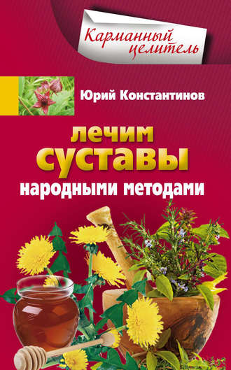 Обложка книги «Лечим суставы народными методами»