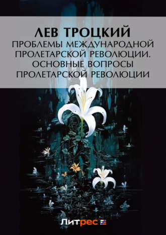 Обложка книги «Проблемы международной пролетарской революции. Основные вопросы пролетарской революции»