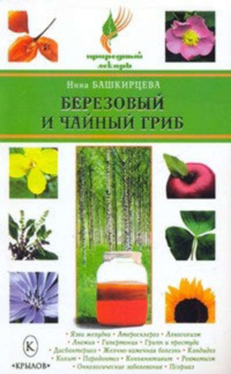 Обложка книги «Березовый и чайный гриб»