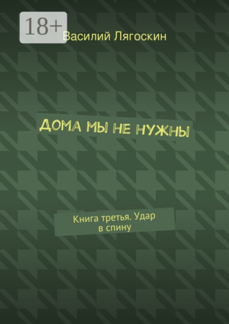Обложка книги «Дома мы не нужны. Книга третья. Удар в спину»