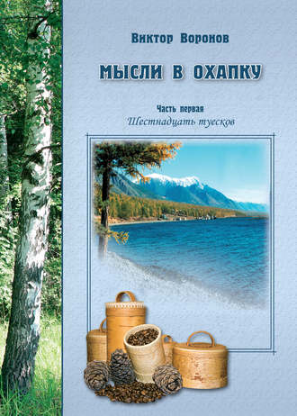 Обложка книги «Мысли в охапку. Часть первая. Шестнадцать туесков»