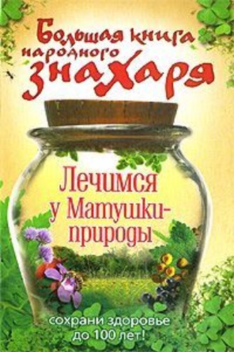Обложка книги «Большая книга народного знахаря. Лечимся у Матушки-природы»