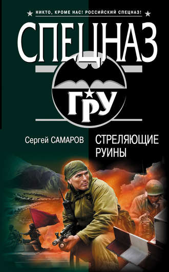 Обложка книги «Стреляющие руины»