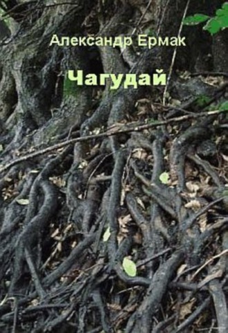 Обложка книги «Чагудай»