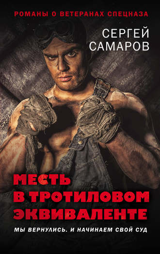Обложка книги «Месть в тротиловом эквиваленте»