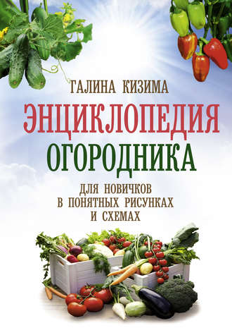 Галина Кизима. Энциклопедия огородника для новичков в понятных рисунках и схемах. Увидел – повтори