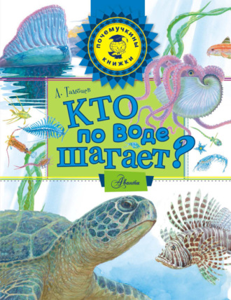 Обложка книги «Кто по воде шагает?»