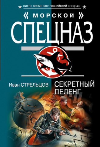 Обложка книги «Секретный пеленг»
