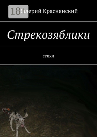 Обложка книги «Стрекозяблики. стихи»