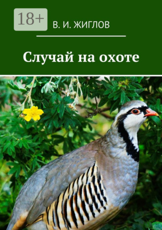 Обложка книги «Случай на охоте»
